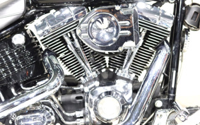 HARLEY FXCWC 2008 JK5