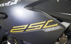 SUZUKI GIXXER 250 SF