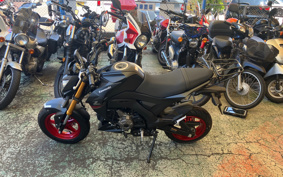 KAWASAKI Z125 PRO BR125H