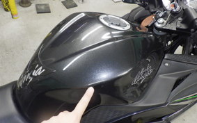 KAWASAKI NINJA 250 2018 EX250L