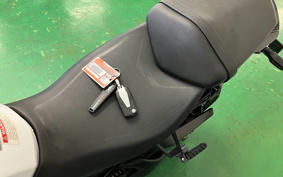 KTM 1290 SUPER DUKE 2019 V3940