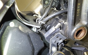 KAWASAKI Z125 PRO 2023 BR125H
