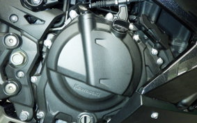 KAWASAKI NINJA 400 2020 EX400G