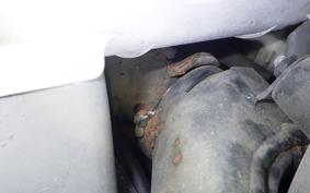 HONDA GYRO X 2007 TD01