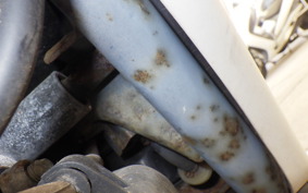 HONDA DIO CESTA AF34