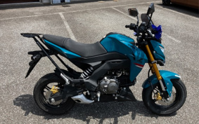 KAWASAKI Z125 PRO BR125H