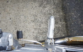 KAWASAKI ZZ-R250 EX250H