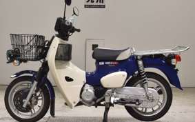 HONDA C110 SUPER CUB 2010 JA61