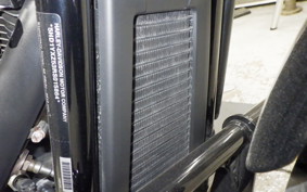 HARLEY FXLRST1920 2024