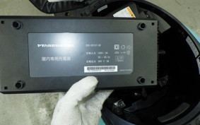 YAMAHA E-VINO