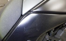 YAMAHA TENERE 700 2024 DM13J