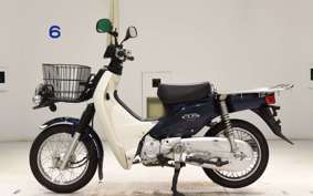 HONDA C110 SUPER CUB 2020 JA10