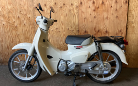 HONDA SUPER CUB110 JA59