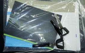 KAWASAKI NINJA 1000 SX 2024 ZXT02K