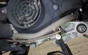 HONDA TODAY 2 2024 AF67