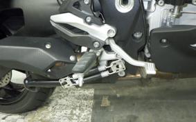 BMW S1000XR 2024