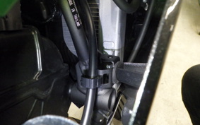 KAWASAKI NINJA 250 2024 EX250Y