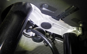 KAWASAKI NINJA ZX-6R A 2025 ZX636J