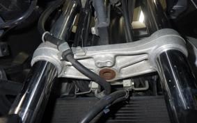 SUZUKI DL650 ( V-Strom 650 ) XTA 2017 C733A