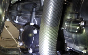 KAWASAKI Z900RS 2022 ZR900C