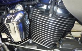 HARLEY FLHTCUTG 1870 2024