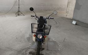 SUZUKI BIRDIE50 BA43A