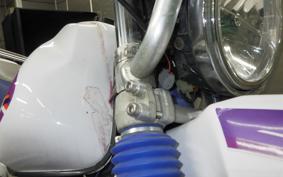 YAMAHA TT250R RAID 4GY