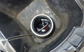 YAMAHA MAXAM 250 SG17J