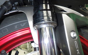 KAWASAKI NINJA ZX-6R A 2025 ZX636J
