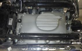 OTHER +ENFIELD ｺﾝﾁﾈﾝﾀﾙGT650 2021