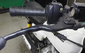 OTHER +UNREGISTERED MODEL by BDS125 2023