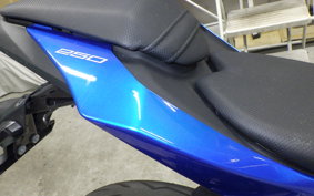 KAWASAKI Z250 SL 2009 BR250E