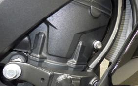 KAWASAKI NINJA 1000SX 2020 ZXT02K