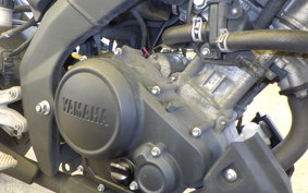 YAMAHA XSR155