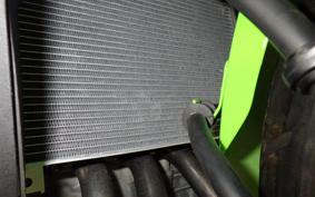 KAWASAKI ZX-4RR 2024 ZX400P