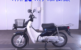 OTHER C110PU LOW 2