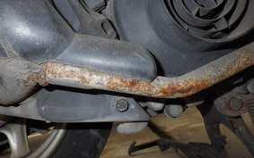 HONDA DIO CESTA GEN 2 1982 AF62