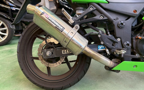 KAWASAKI NINJA 250R EX250K