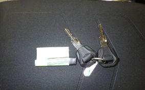 TRIUMPH TIGER 900 RALLY PRO 2025