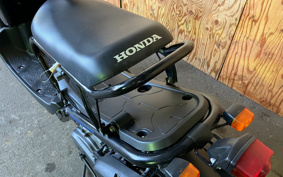HONDA ZUMAR AF58