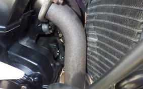 TRIUMPH DAYTONA 675 2009