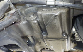 HONDA LEAD 110 JF19