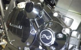 KAWASAKI ZRX1200 D 2018 ZRT20D