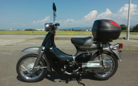 HONDA LITTLE CUB AA01