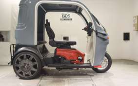 OTHER UNREGISTERED MODEL by BDS TRIKE250 2024