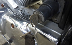 YAMAHA VIRAGO 250 3DM