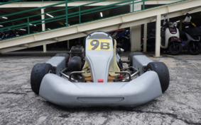 OTHER +KART