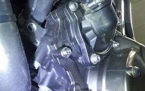 YAMAHA XSR900 GP 2024 RN96J