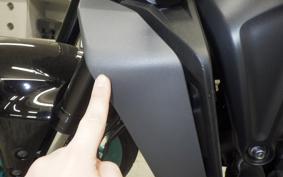 YAMAHA MT-09 2024 RN87J