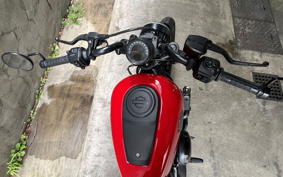 HARLEY  HARLEY RH975 NIGHT  STAR  2024 ZH1
